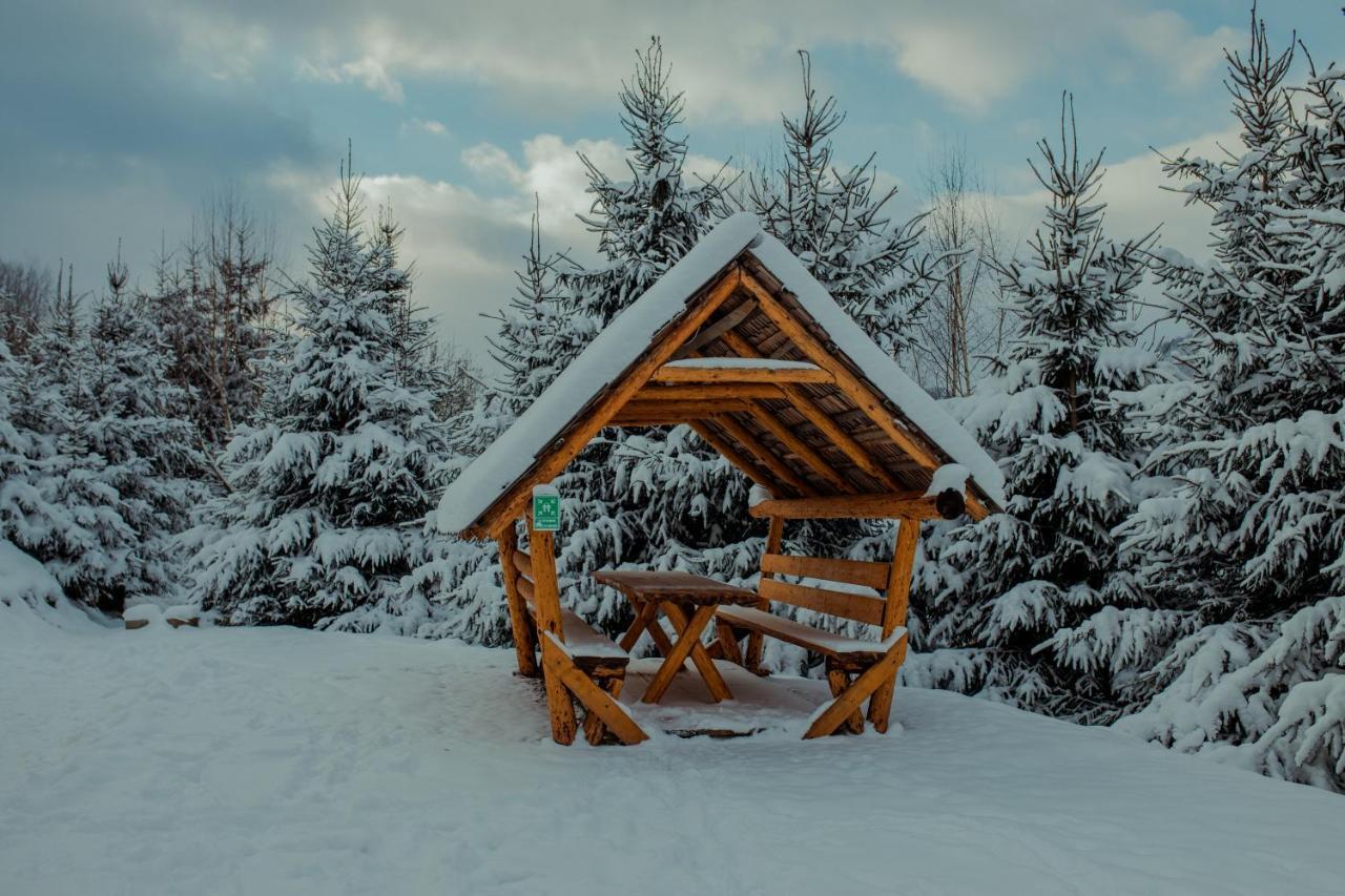 Conacul Drahneilor Ruscova Exterior foto
