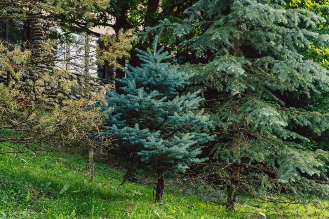 Conacul Drahneilor Ruscova Exterior foto