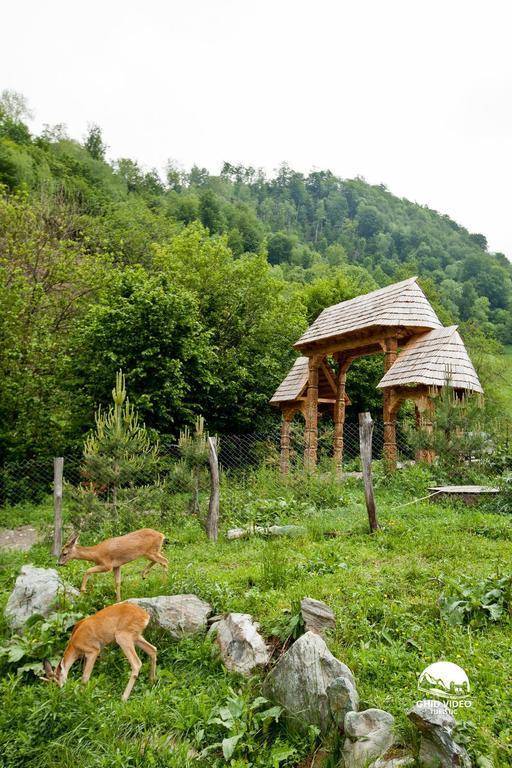 Conacul Drahneilor Ruscova Exterior foto