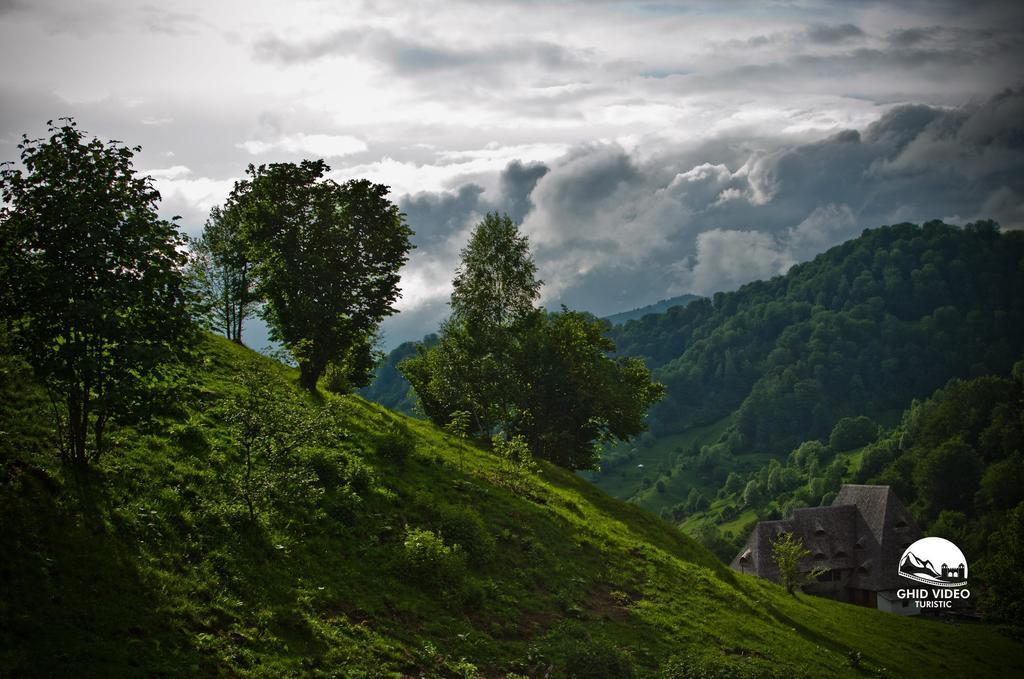 Conacul Drahneilor Ruscova Exterior foto